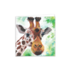 Funny Animal Greeting Card – Nobody Wonderful Like Me! - Image 4