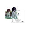 Springer Spaniels, George and Tod, Greeting Card – Unique Animal Illustration - Image 3