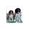 Springer Spaniels, George and Tod, Greeting Card – Unique Animal Illustration - Image 4