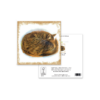Sleeping Cat Animal Greeting Card – Unique Pet Illustration for Any Occasion - Image 3