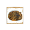 Sleeping Cat Animal Greeting Card – Unique Pet Illustration for Any Occasion - Image 4