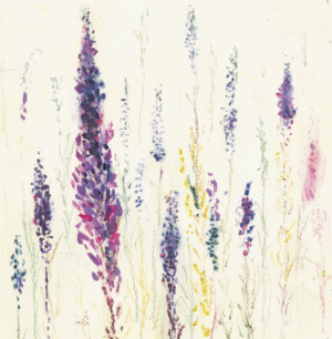 Artists on Cards Ltd Purple-loosestrife-for-website-300x306 Purple Loosestrife  