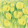Greeting card with vibrant yellow tulips and green stems in a painterly spring floral design