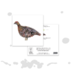 Vulnerable Hen Pheasant XMAS - Image 2