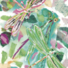 Colourful dragonfly greeting card with green and pink collage artwork and textured nature-inspired background. Artists on Cards