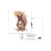 Red Squirrel Greeting Card – Woodland Animal Art - Image 3