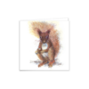 Red Squirrel Greeting Card – Woodland Animal Art - Image 4