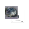 Hedgehog Greeting Card - Wildlife illustration - Image 3
