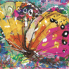 Colourful butterfly greeting card with abstract pink, orange and yellow wings on bright textured background. Artists on Cards