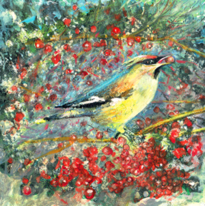 Artists on Cards Ltd SQL299-for-website-300x302 Waxwing  