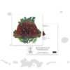 Celebrate with a Christmas Pudding XMAS - Image 2
