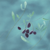 Greeting card with painted purple olives and green leaves on a soft teal background