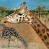 Angolan Giraffes