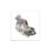 Play with Me – Funny Fluffy Dog Greeting Card - Image 2