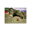 Sea View, Cornwall. - Image 4