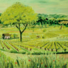 Vineyards, St Juliet, Lot Valley