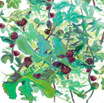 Greeting card with painterly green fig leaves and dark red figs on a bright white background