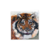 Tiger Greeting Card - Featuring wildlife art - Image 2