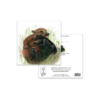 Bear Greeting Card – The Bear Necessities Wildlife Design - Image 4