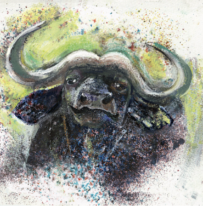 Buffalo Burly