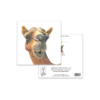 Camel Greeting Card - Jamaal, the curious camel - Image 3