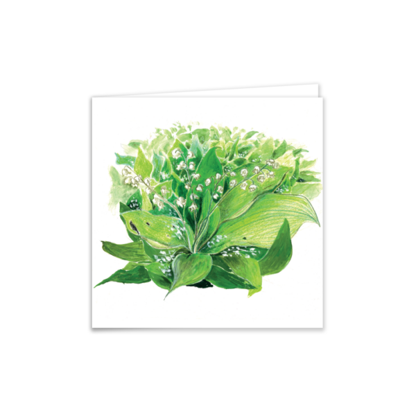 LILY OF THE VALLEY - Image 2