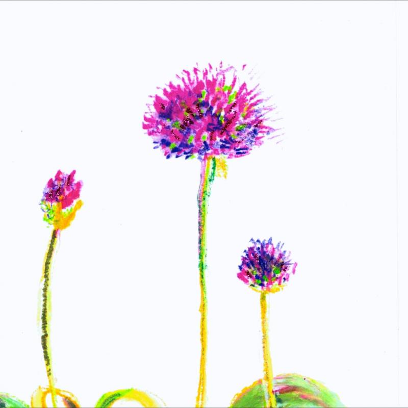 Artists on Cards Ltd alliumschoenprasum496 Allium Schoenprasum flower-head  