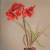 Amaryllis Belladonna Flowers