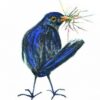 Blackbird