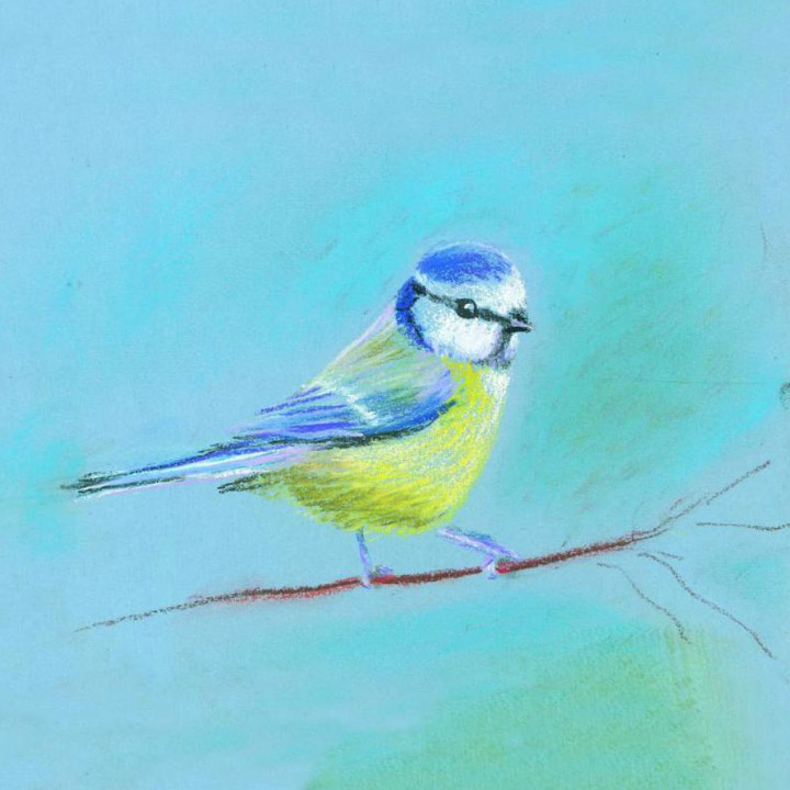 Artists on Cards Ltd bluetit454 Blue Tit  