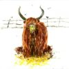 Brogach Highland Cow Greeting Card – Rustic Scottish Animal Art