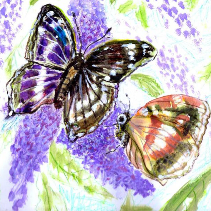 Artists on Cards Ltd buddleiaandbutterflies539 Buddleia and Butterflies  