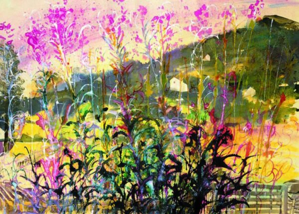 Burgundy Hillside with Seeding Willow Herb