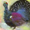 Capercaillie