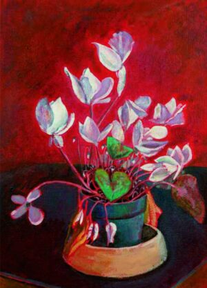 Artists on Cards Ltd cyclamenhederifoliumV0gZ-300x417 Cyclamen Hederifolium  