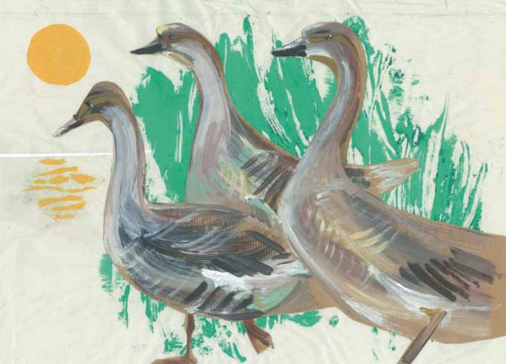 Artists on Cards Ltd earlymorninggeese263 Early Morning Geese  