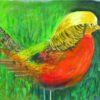 Greeting card showing a golden pheasant with elegant plumage and painterly style.