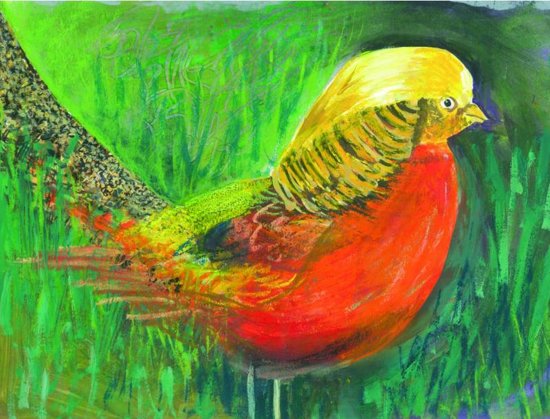 Artists on Cards Ltd goldenpheasant299 Golden Pheasant  