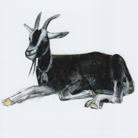 Artists on Cards Ltd happygoat610 Happy Goat  