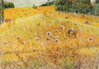 Harvested Field, Sevenoaks, Kent