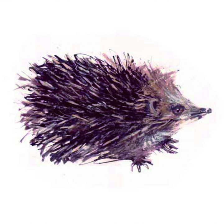 Artists on Cards Ltd hedgyhedgehog438 Hedgy Hedgehog  