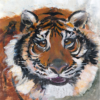 Greeting card featuring a strong Tiger named Kato, artistic wildlife design