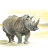 Greeting card featuring a painted rhinoceros illustration titled Kipenz, bold and expressive wildlife design