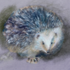 Greeting card featuring a creative Hedgehog illustration titled 'Know your Hedgehog'