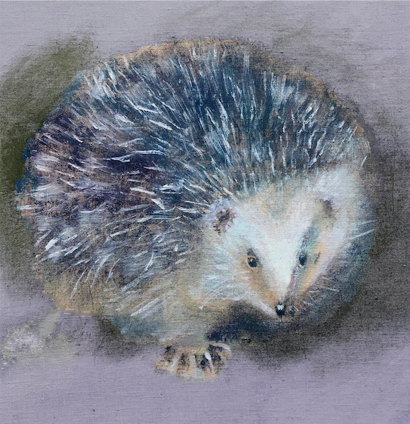 Artists on Cards Ltd knowyourhedgehogF2b Know your Hedgehog  