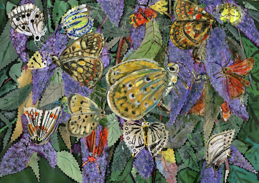 Artists on Cards Ltd lymebayandbuddleiatFb8 Lyme Bay and Butterfly Collage  