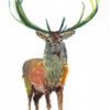 Greeting card featuring an artistic animal illustration of a stag titled 'Magnificent Staggered', ideal for animal lovers