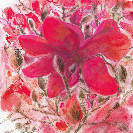 Artists on Cards Ltd magnoliabloomgSbB Magnolia Bloom  