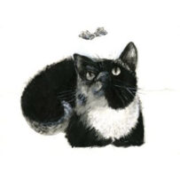 Greeting card with an illustrated black and white cat named Marcel, with a butterfly, stylish and funny