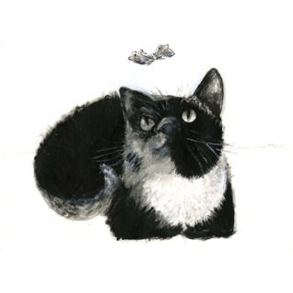 Greeting card with an illustrated black and white cat named Marcel, with a butterfly, stylish and funny